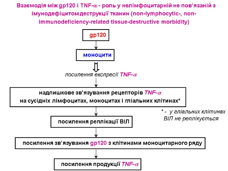 Взаємодія між gp120 і TNF- - роль у нелімфоцитарній не пов’язаній з імунодефіцитом деструкції